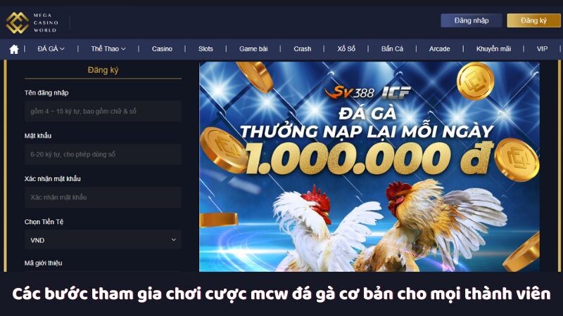 Các bước tham gia chơi cược mcw đá gà cơ bản cho mọi thành viên