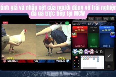 MCW – Tìm Hiểu Về Trang Trực Tiếp Đá Gà Hot Nhất 2024