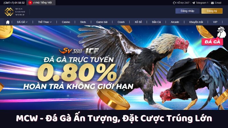 Sự phát triển của MCW trong lĩnh vực đá gà mcw trực tuyến