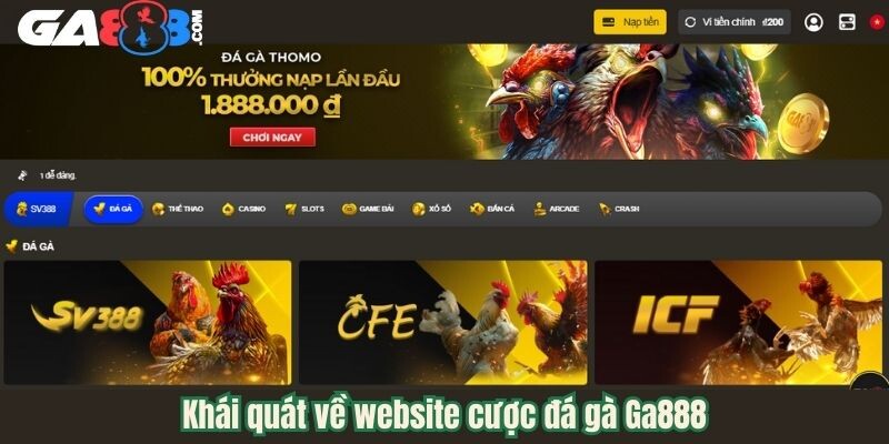 Khái quát về website cược đá gà Ga888